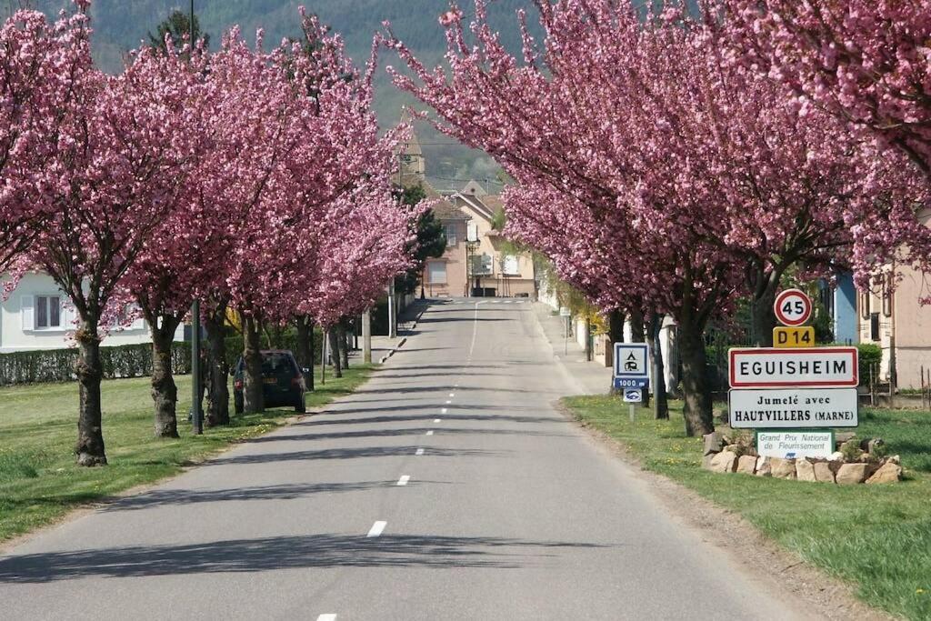 Gite A Eguisheim Proche De Colmar Et Kaysergberg. Zewnętrze zdjęcie