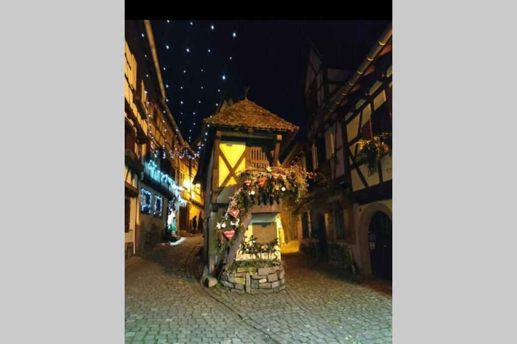 Gite A Eguisheim Proche De Colmar Et Kaysergberg. Zewnętrze zdjęcie
