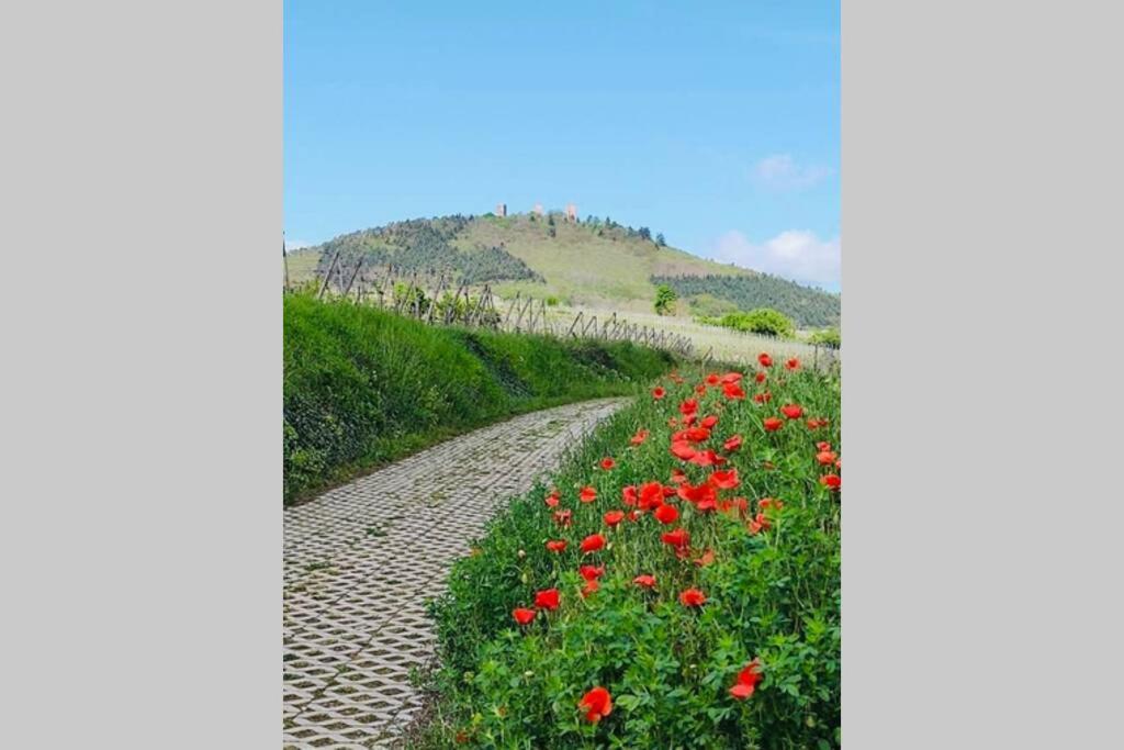 Gite A Eguisheim Proche De Colmar Et Kaysergberg. Zewnętrze zdjęcie