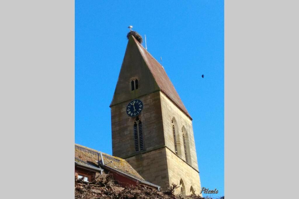 Gite A Eguisheim Proche De Colmar Et Kaysergberg. Zewnętrze zdjęcie