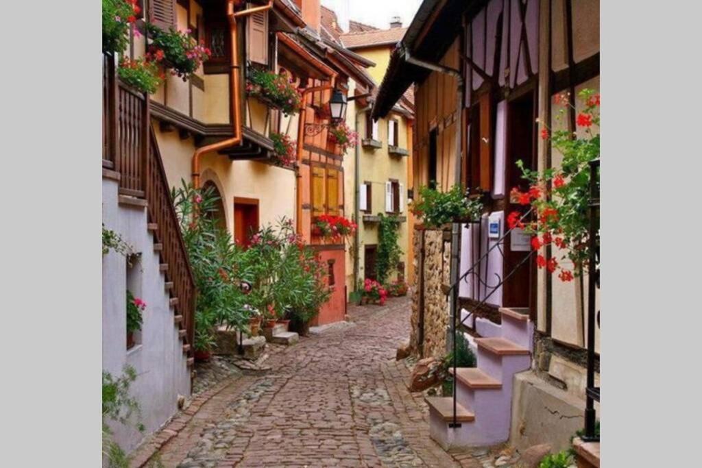 Gite A Eguisheim Proche De Colmar Et Kaysergberg. Zewnętrze zdjęcie