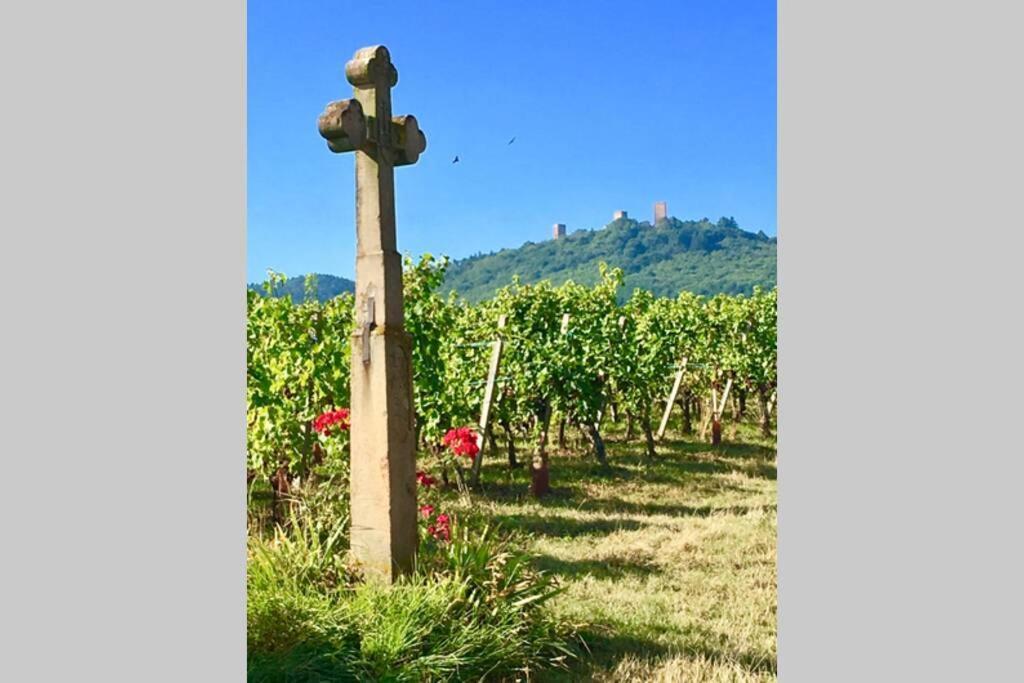 Gite A Eguisheim Proche De Colmar Et Kaysergberg. Zewnętrze zdjęcie