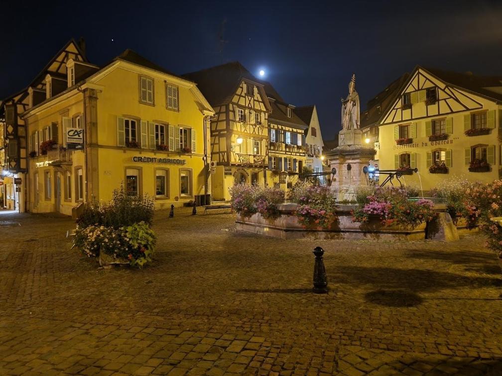 Gite A Eguisheim Proche De Colmar Et Kaysergberg. Zewnętrze zdjęcie